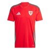 Camiseta de fútbol Gales Primera Equipación 2024 - Hombre